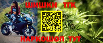 индика Можайск