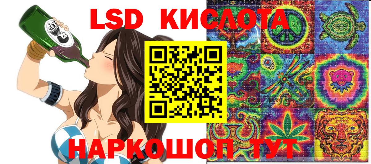 A PVP Владикавказ