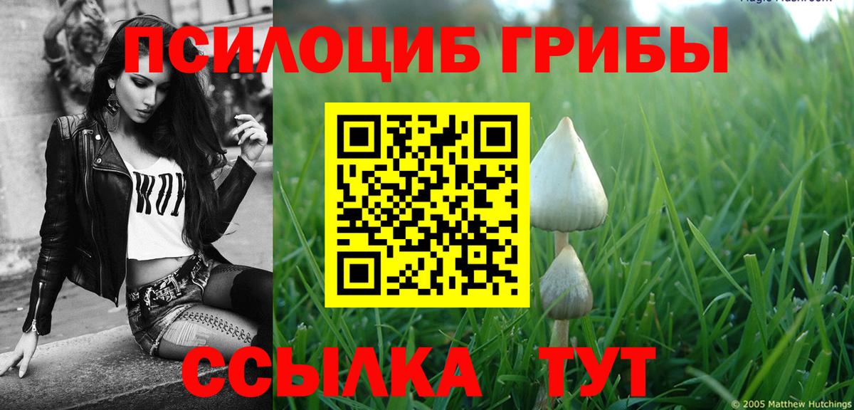 Псилоцибиновые грибы ЛСД Владикавказ